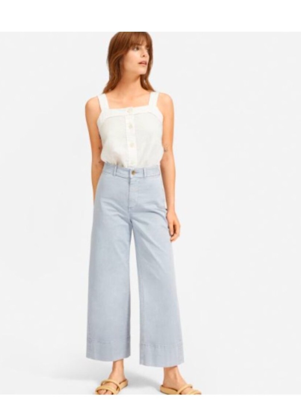 Everlane Wide Leg Chino Pale Blue
